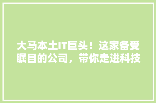 大马本土IT巨头！这家备受瞩目的公司，带你走进科技前沿！