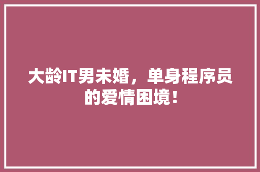 大龄IT男未婚，单身程序员的爱情困境！ 搜狗优化