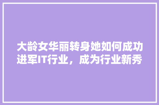 大龄女华丽转身她如何成功进军IT行业，成为行业新秀！