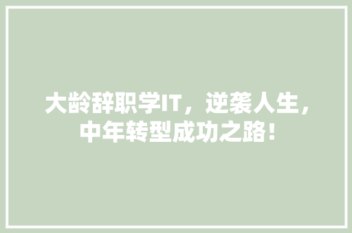 大龄辞职学IT，逆袭人生，中年转型成功之路！