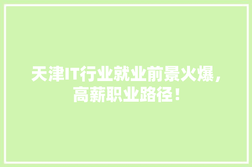 天津IT行业就业前景火爆，高薪职业路径！
