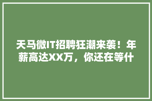 天马微IT招聘狂潮来袭！年薪高达XX万，你还在等什么