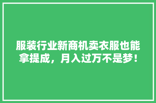 服装行业新商机卖衣服也能拿提成，月入过万不是梦！ 百度算法