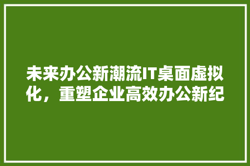 未来办公新潮流IT桌面虚拟化，重塑企业高效办公新纪元！