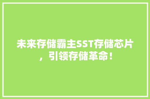 未来存储霸主SST存储芯片，引领存储革命！ 百度算法