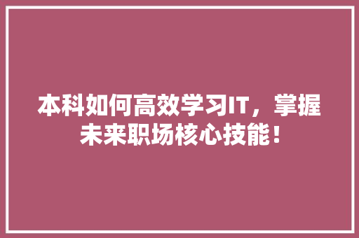本科如何高效学习IT，掌握未来职场核心技能！ 360搜优化