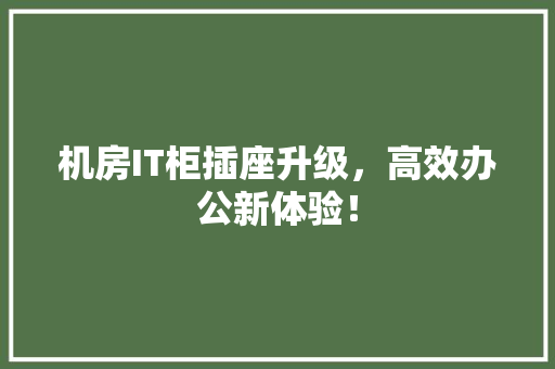 机房IT柜插座升级，高效办公新体验！ 头条优化