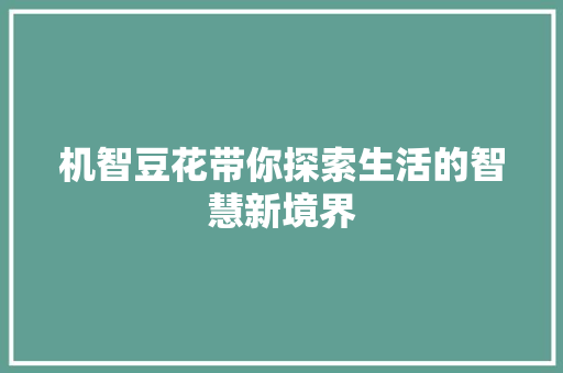 机智豆花带你探索生活的智慧新境界