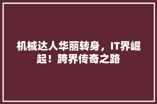 机械达人华丽转身，IT界崛起！跨界传奇之路 网站优化