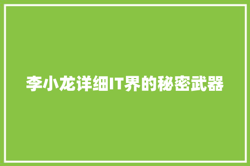 李小龙详细IT界的秘密武器