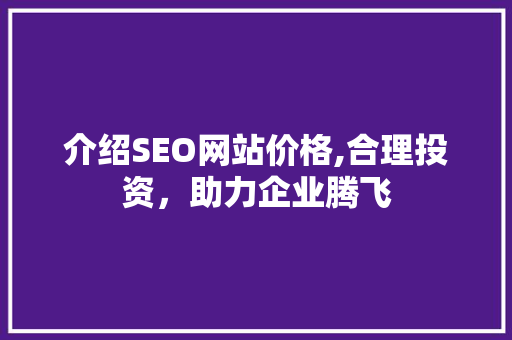 介绍SEO网站价格,合理投资，助力企业腾飞