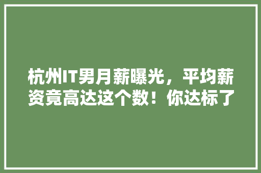 杭州IT男月薪曝光，平均薪资竟高达这个数！你达标了吗 360搜优化