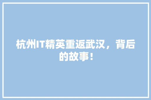 杭州IT精英重返武汉，背后的故事！ 英文谷歌算法