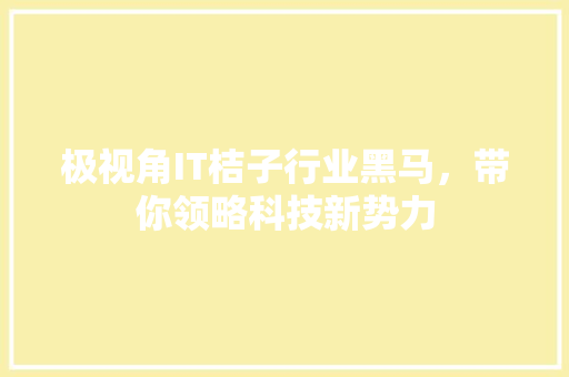 极视角IT桔子行业黑马，带你领略科技新势力