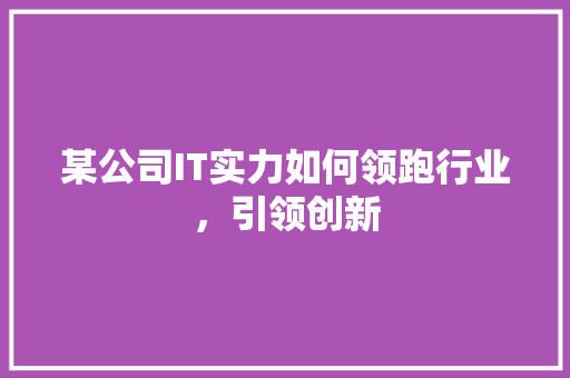 某公司IT实力如何领跑行业，引领创新 头条优化