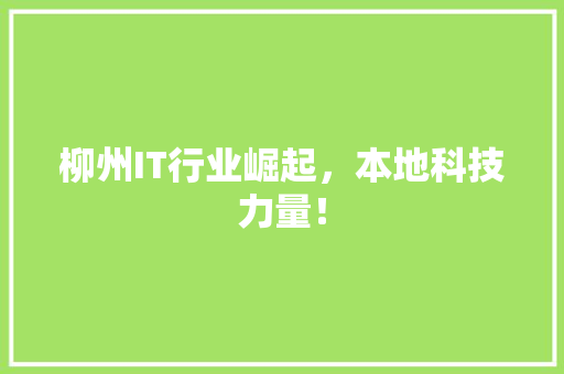 柳州IT行业崛起，本地科技力量！ 百度算法