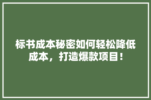 标书成本秘密如何轻松降低成本，打造爆款项目！