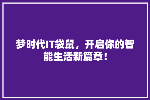 梦时代IT袋鼠，开启你的智能生活新篇章！