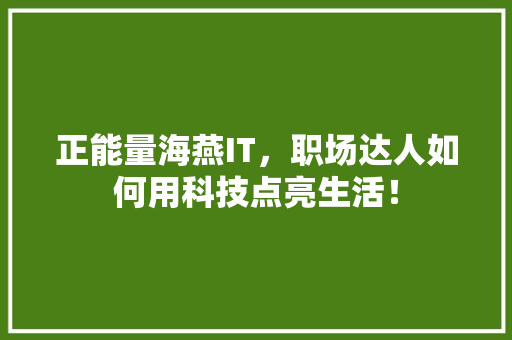 正能量海燕IT，职场达人如何用科技点亮生活！
