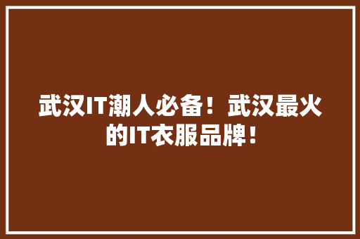武汉IT潮人必备！武汉最火的IT衣服品牌！