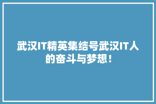 武汉IT精英集结号武汉IT人的奋斗与梦想！