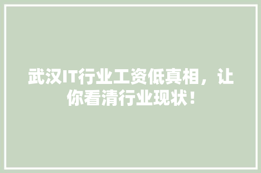 武汉IT行业工资低真相，让你看清行业现状！ AI技术学习