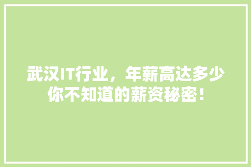 武汉IT行业，年薪高达多少你不知道的薪资秘密！ 英文谷歌算法