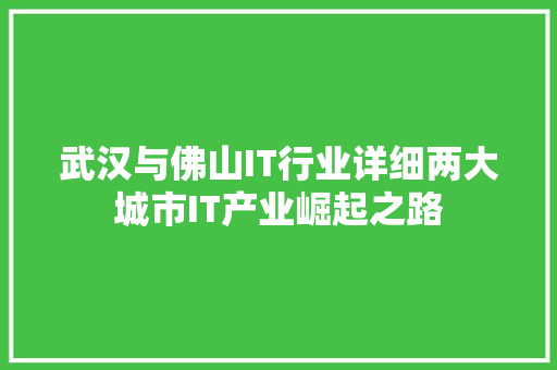 武汉与佛山IT行业详细两大城市IT产业崛起之路 头条优化