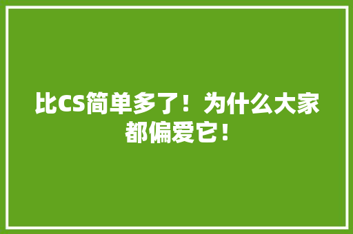 比CS简单多了！为什么大家都偏爱它！ 网站优化