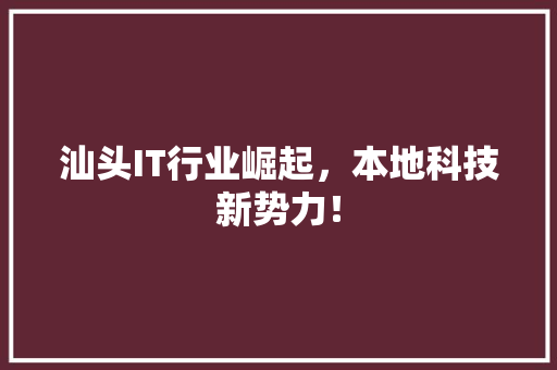 汕头IT行业崛起，本地科技新势力！