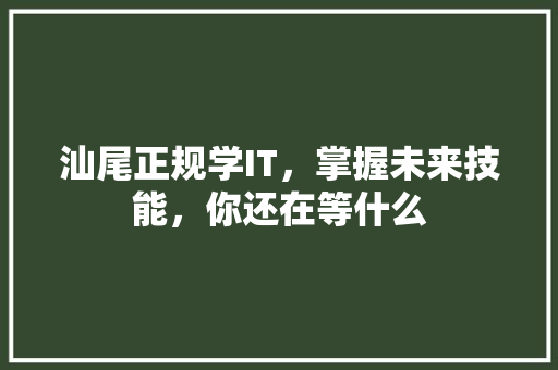汕尾正规学IT，掌握未来技能，你还在等什么