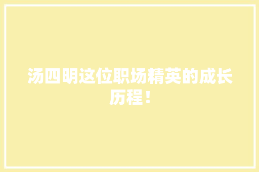 汤四明这位职场精英的成长历程！ seo技术