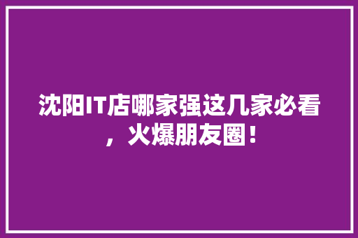 沈阳IT店哪家强这几家必看，火爆朋友圈！ 网站优化