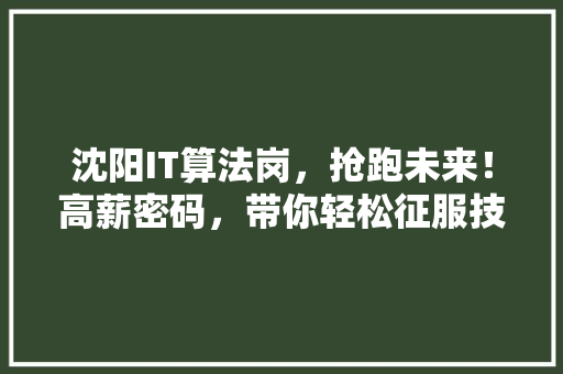 沈阳IT算法岗，抢跑未来！高薪密码，带你轻松征服技术高地！ 搜狗优化