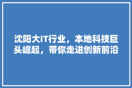沈阳大IT行业，本地科技巨头崛起，带你走进创新前沿！ 百度算法