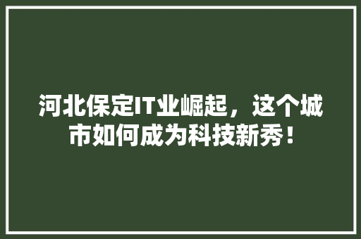 河北保定IT业崛起，这个城市如何成为科技新秀！ seo技术