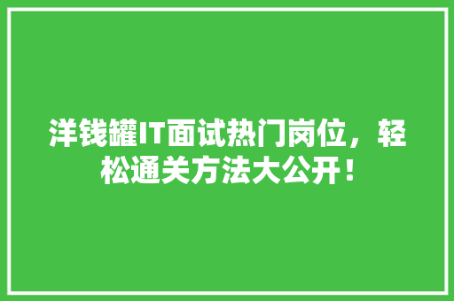 洋钱罐IT面试热门岗位，轻松通关方法大公开！ 搜狗优化