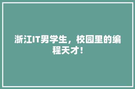 浙江IT男学生，校园里的编程天才！