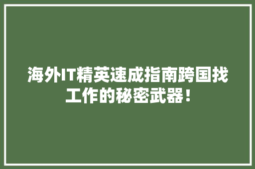 海外IT精英速成指南跨国找工作的秘密武器！ 网站优化