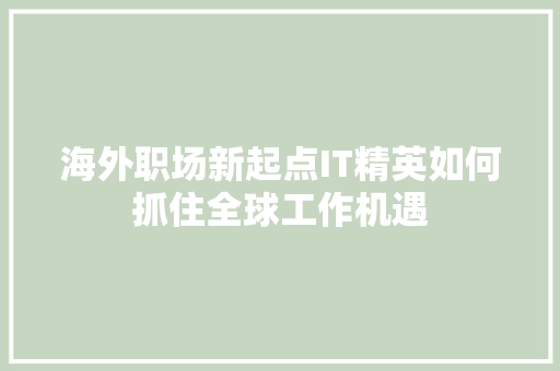 海外职场新起点IT精英如何抓住全球工作机遇