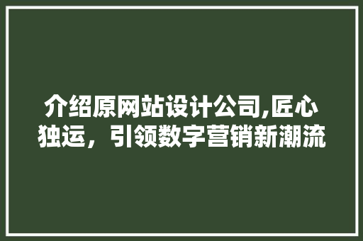 介绍原网站设计公司,匠心独运，引领数字营销新潮流