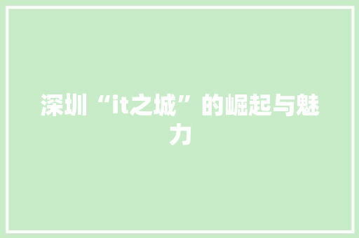 深圳“it之城”的崛起与魅力 网站开发
