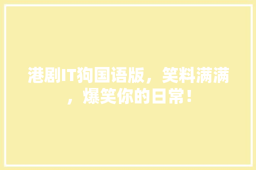 港剧IT狗国语版，笑料满满，爆笑你的日常！ seo技术