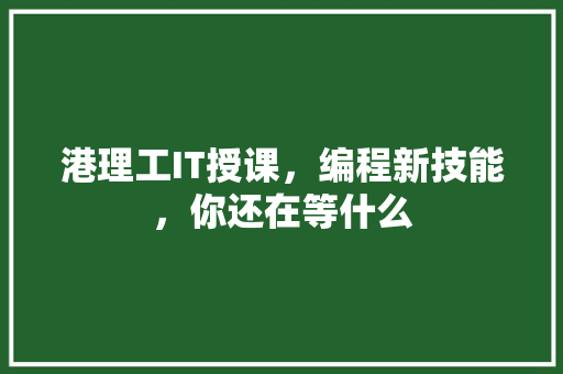 港理工IT授课，编程新技能，你还在等什么