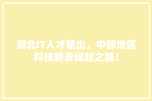 湖北IT人才辈出，中部地区科技新贵崛起之路！