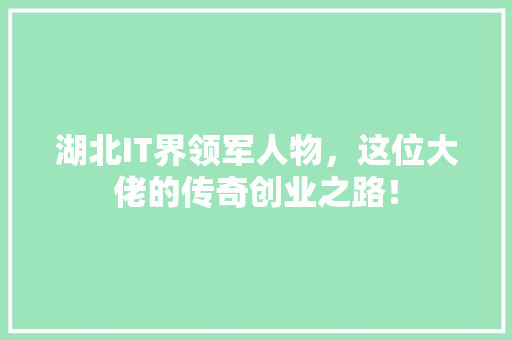 湖北IT界领军人物，这位大佬的传奇创业之路！