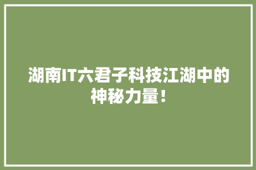 湖南IT六君子科技江湖中的神秘力量！ 百度算法