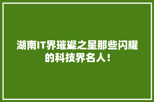湖南IT界璀璨之星那些闪耀的科技界名人！