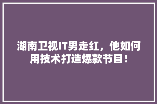 湖南卫视IT男走红，他如何用技术打造爆款节目！