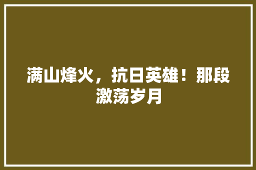 满山烽火，抗日英雄！那段激荡岁月
